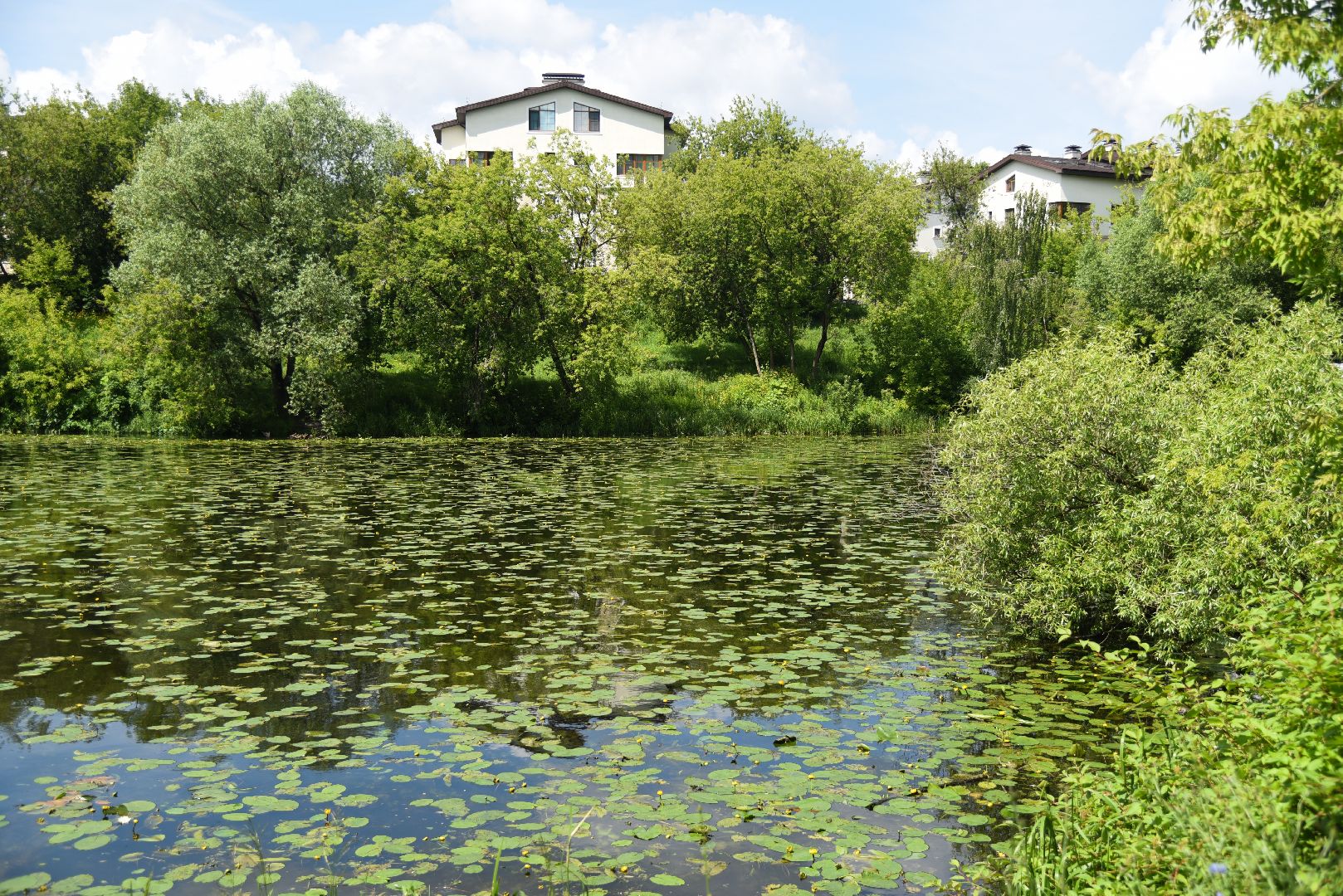 Химки, река, парк, лето