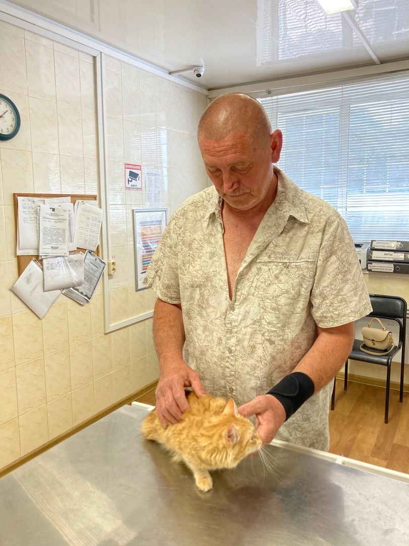 Солнечногорск, животные, ветеринарная станция, электронные карты, общая база