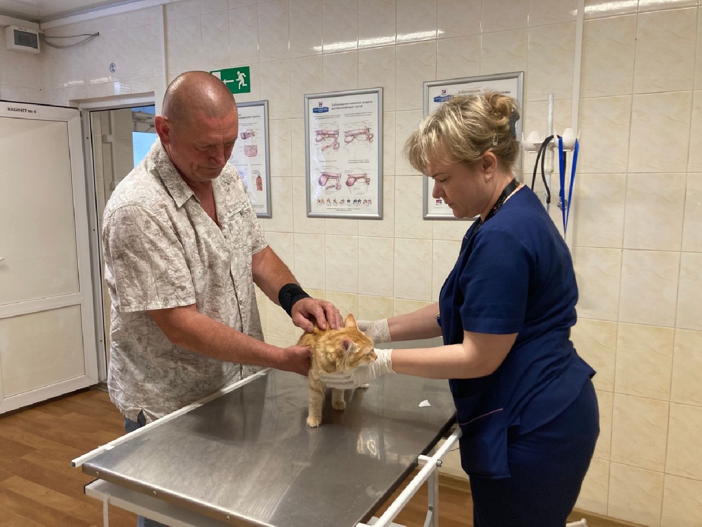 Солнечногорск, животные, ветеринарная станция, электронные карты, общая база