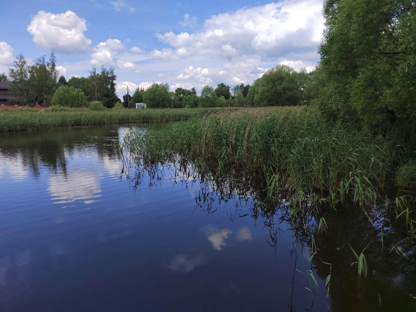 Парки, благоустройство, лето в подмосковье,