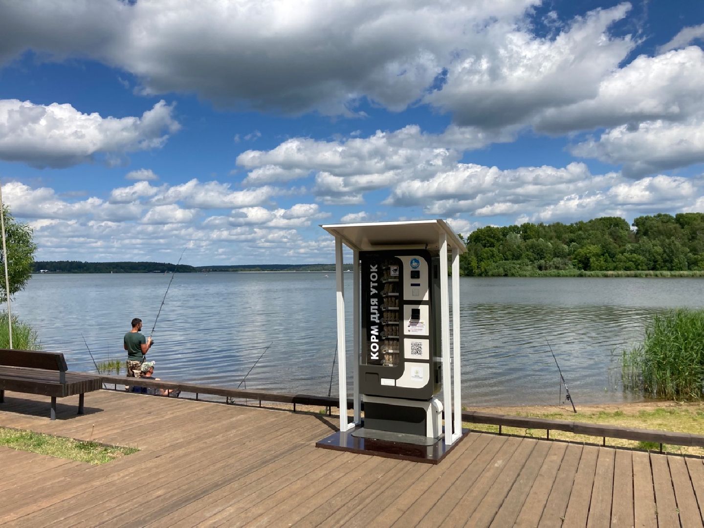 Солнечногорск, озеро, утки, социальный проект, Сенеж