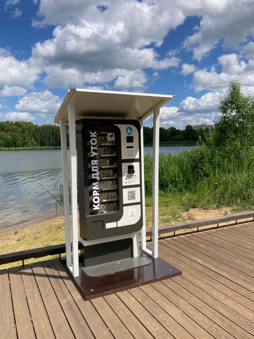 Солнечногорск, озеро, утки, социальный проект, Сенеж