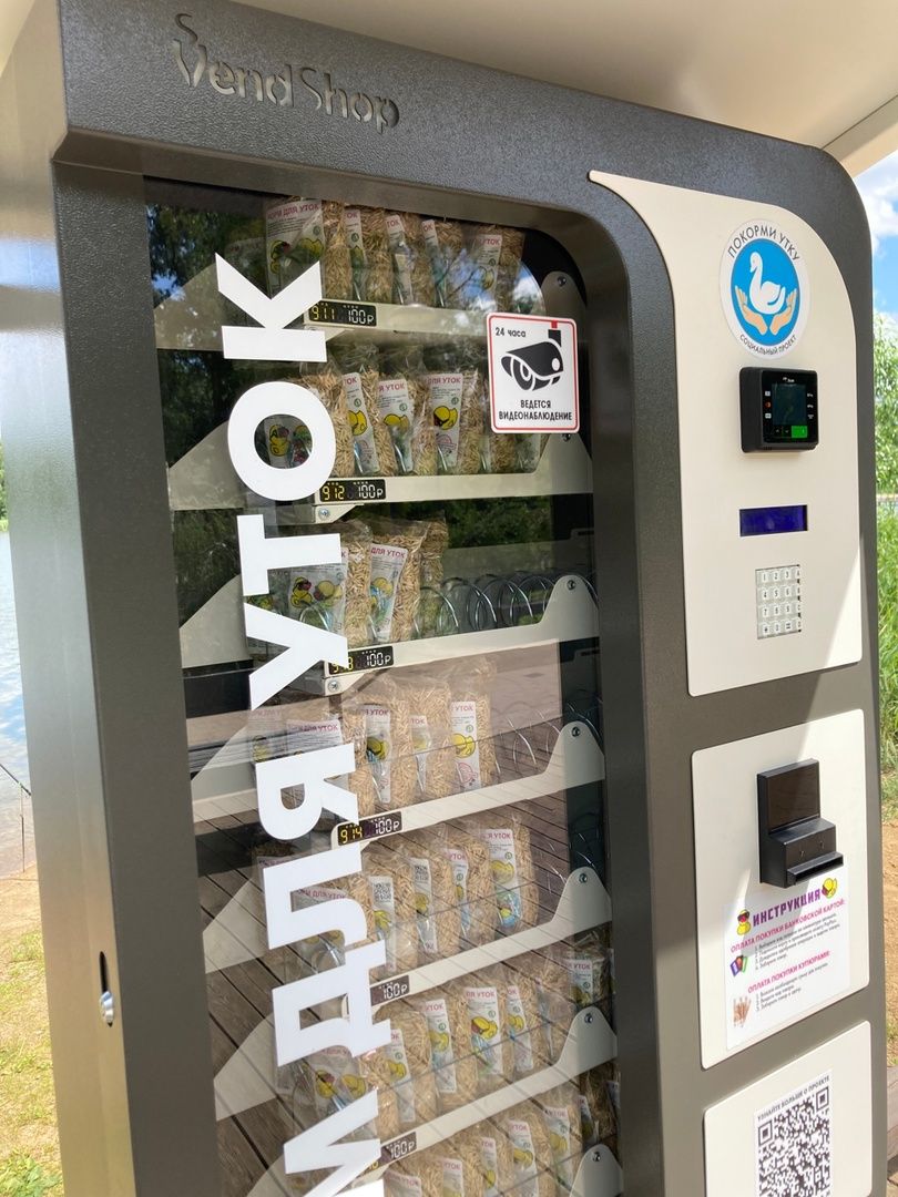 Солнечногорск, озеро, утки, социальный проект, Сенеж