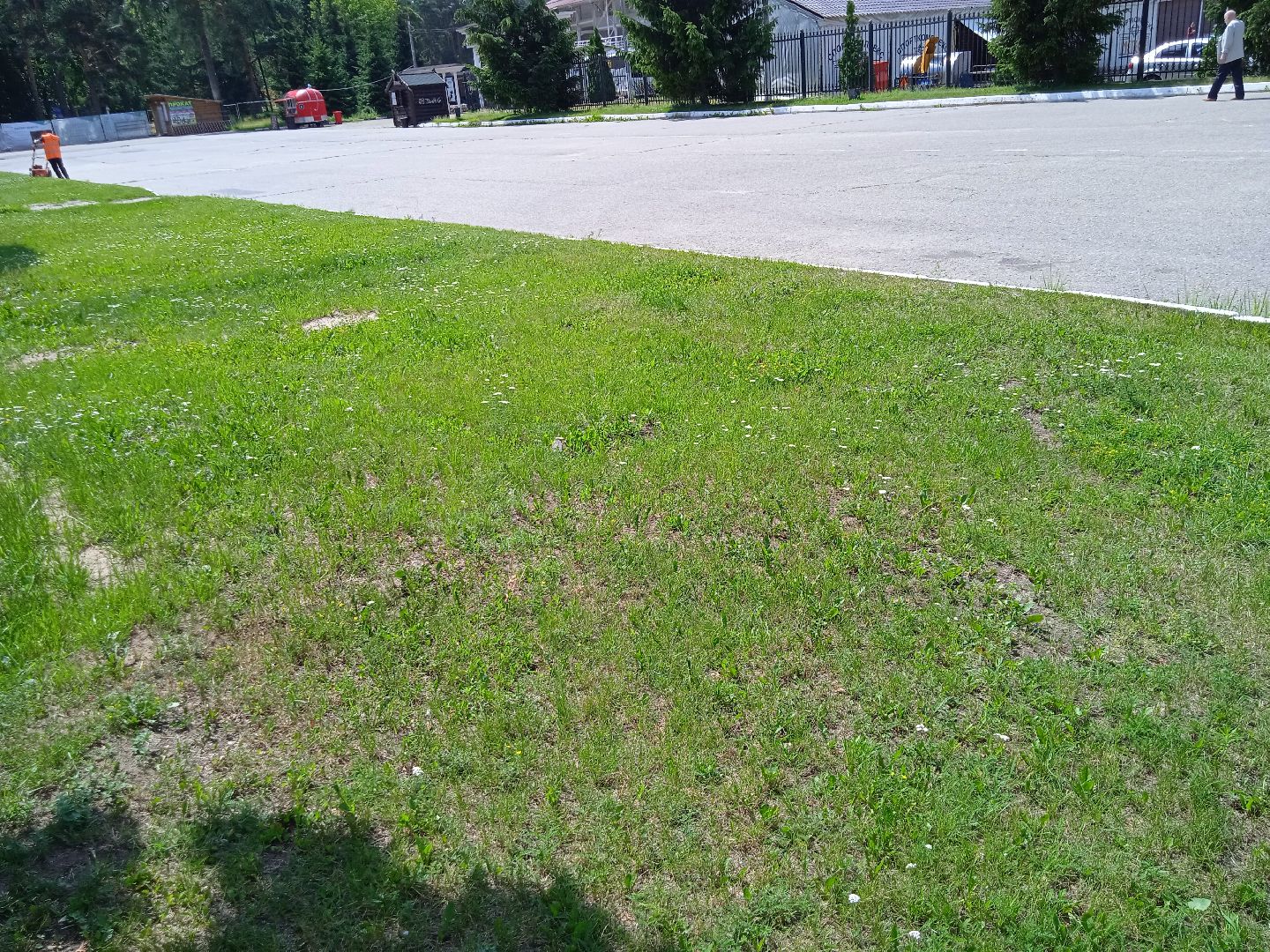 покос, травы, Вечный, огонь