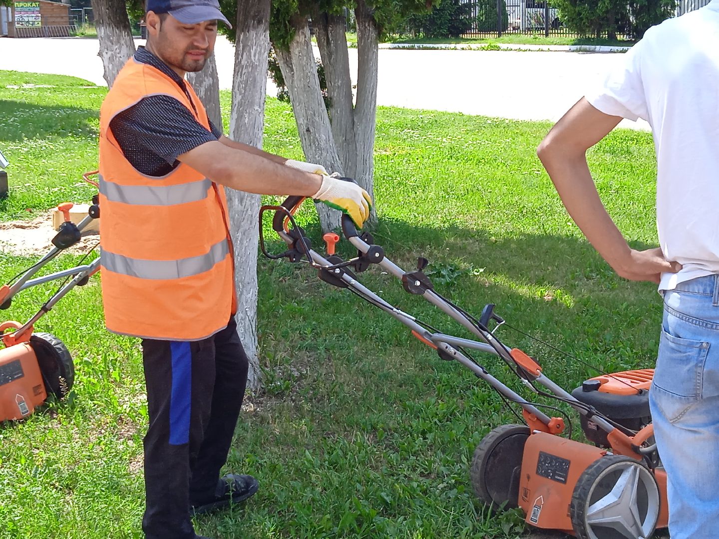 покос, травы, Вечный, огонь