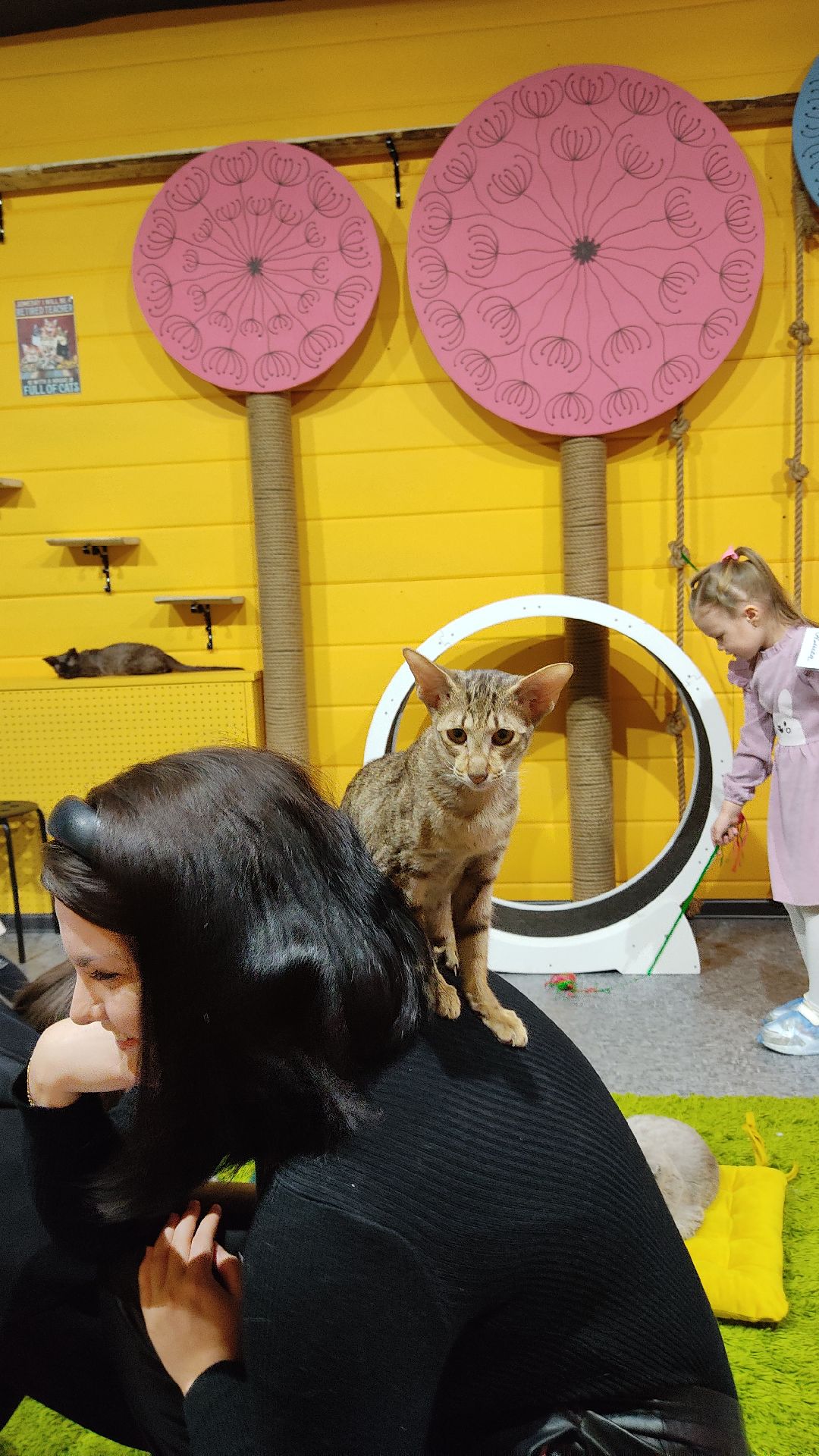 Лобня, города