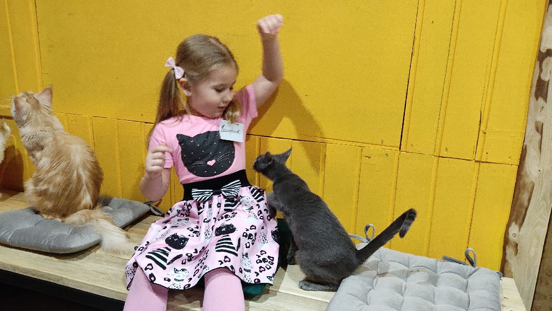 Лобня, города