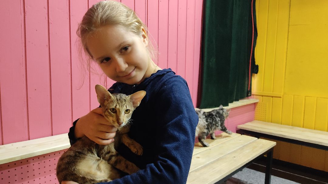 Лобня, города