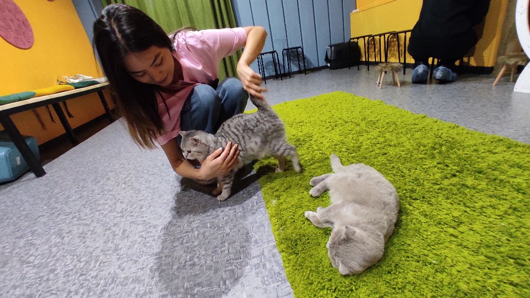 Лобня, города