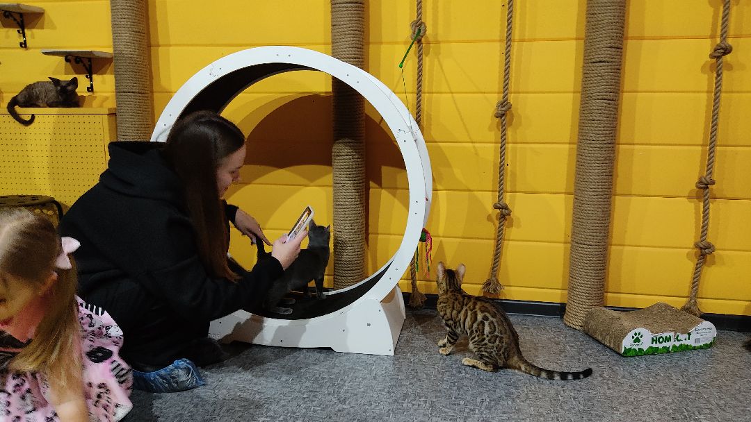 Лобня, города