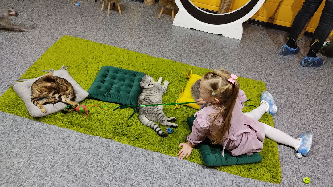 Лобня, города