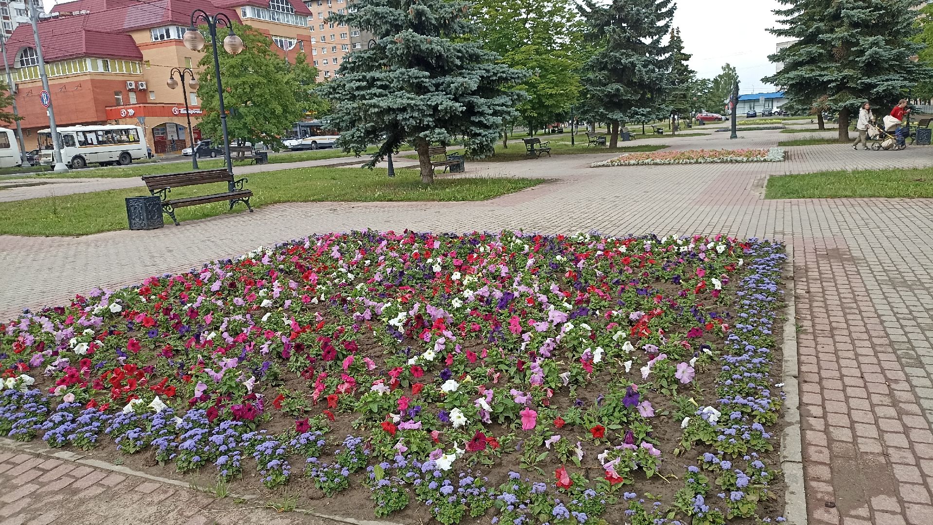 Серпухов, Подмосковье, клумбы, цветы, общественное место