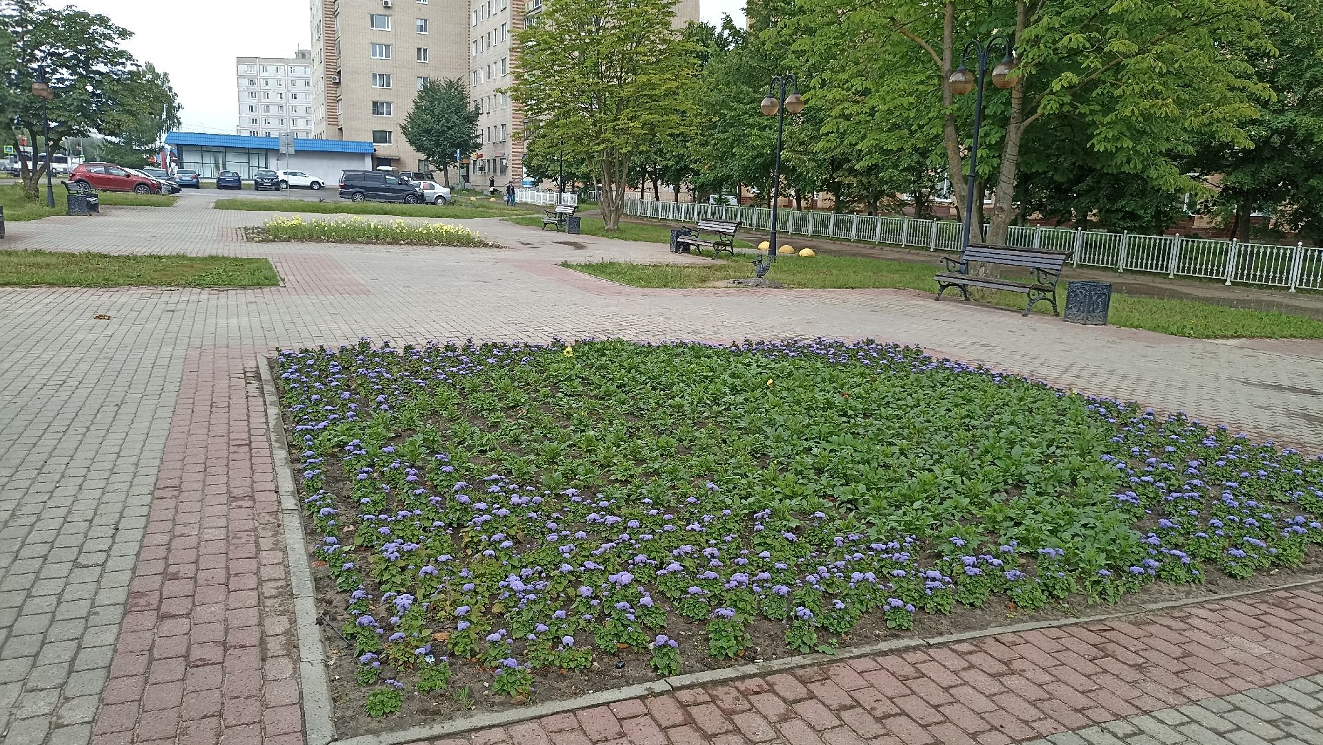 Серпухов, Подмосковье, клумбы, цветы, общественное место