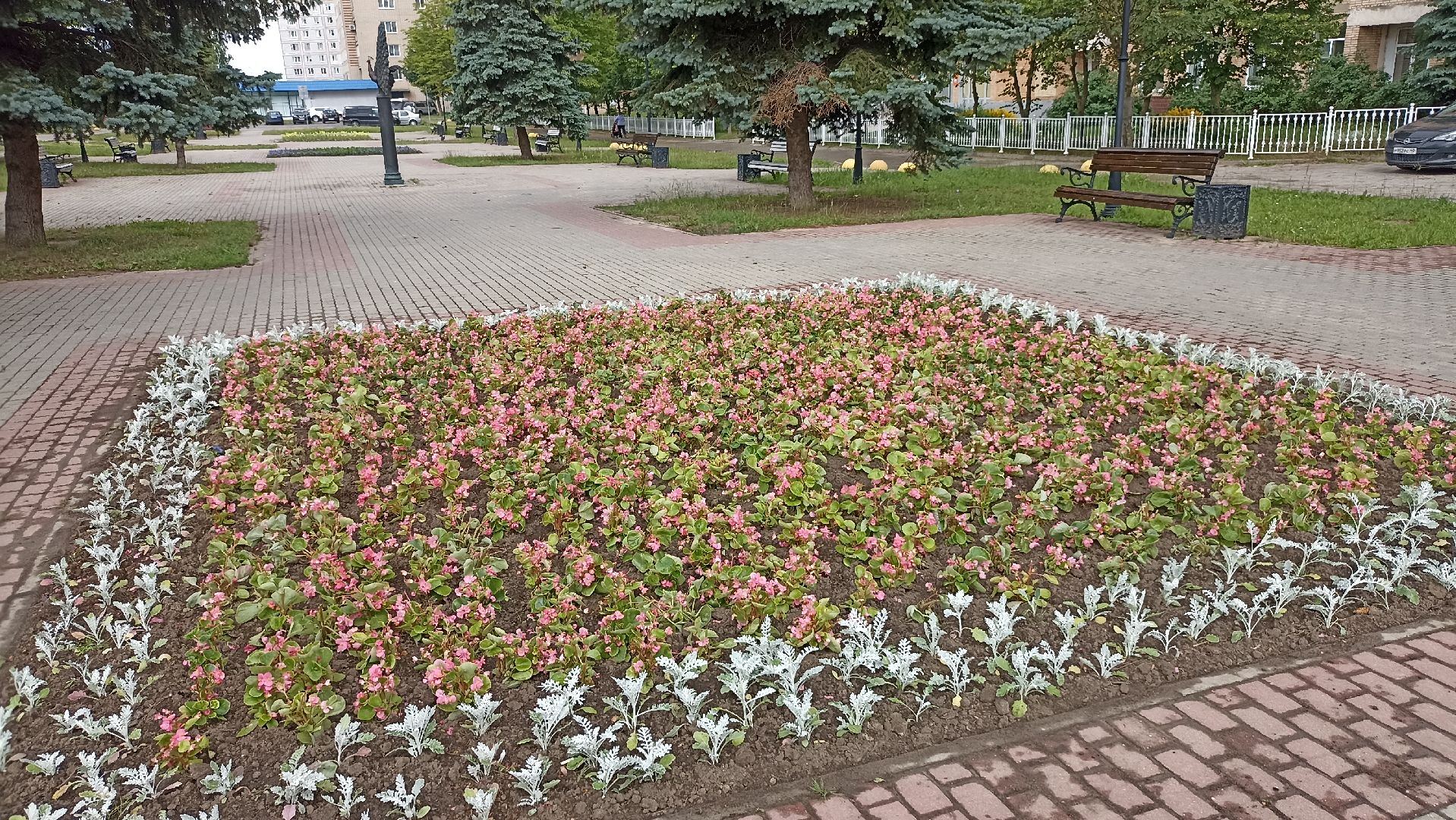 Серпухов, Подмосковье, клумбы, цветы, общественное место