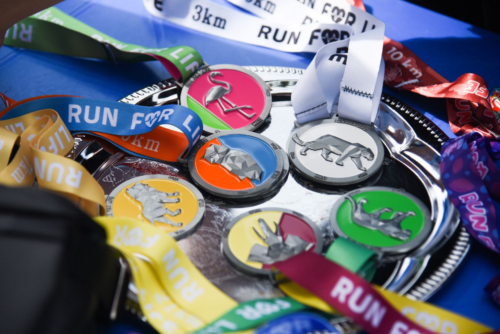 Химки, спорт, благотворительность