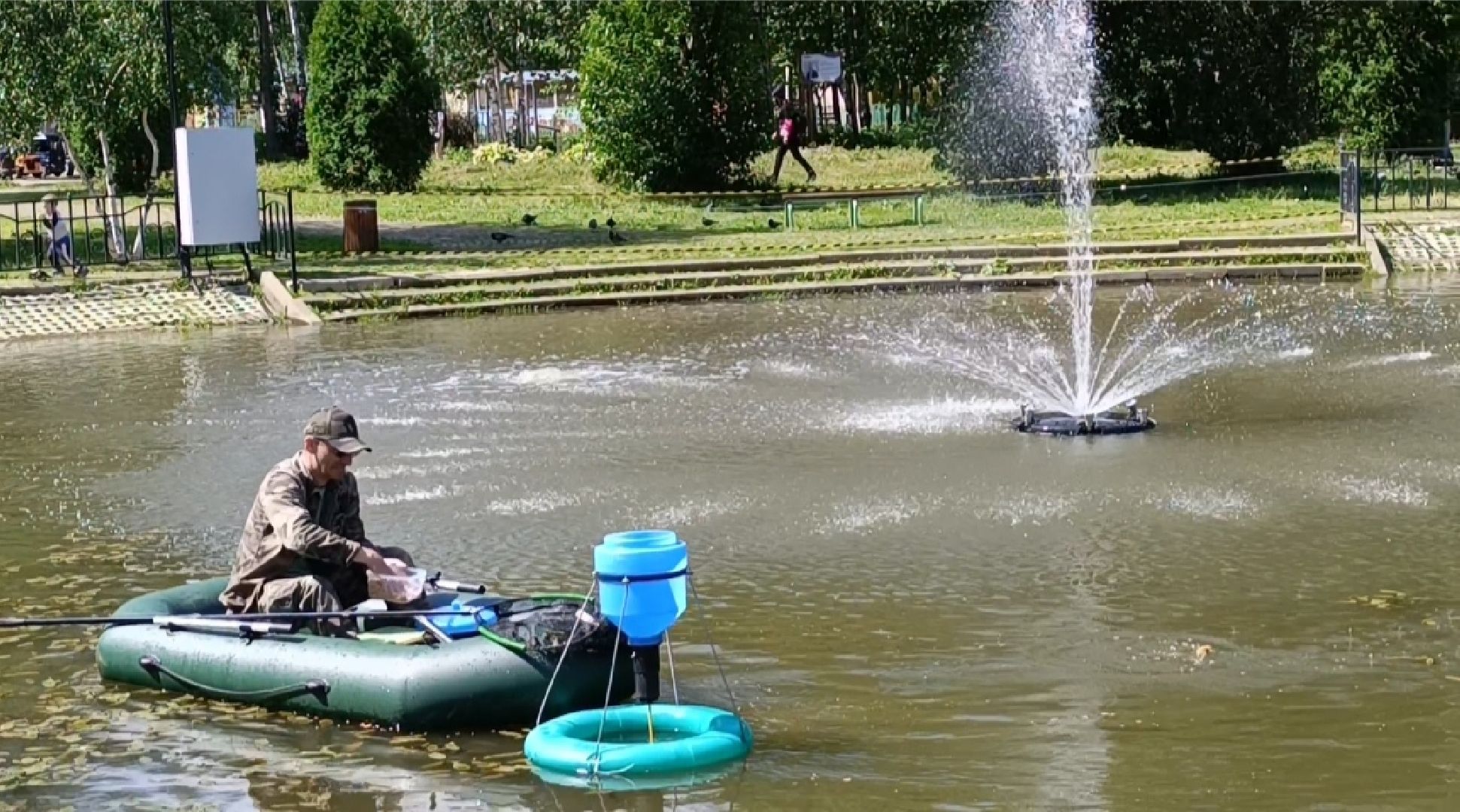 пруд, рыба, парк