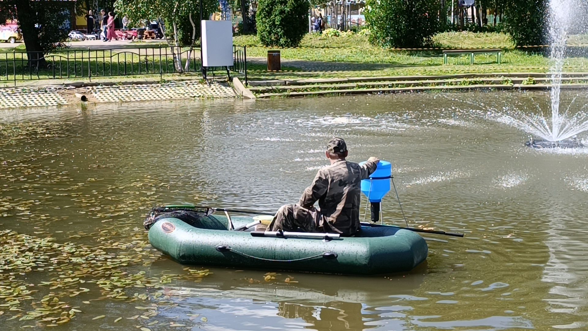 пруд, рыба, парк