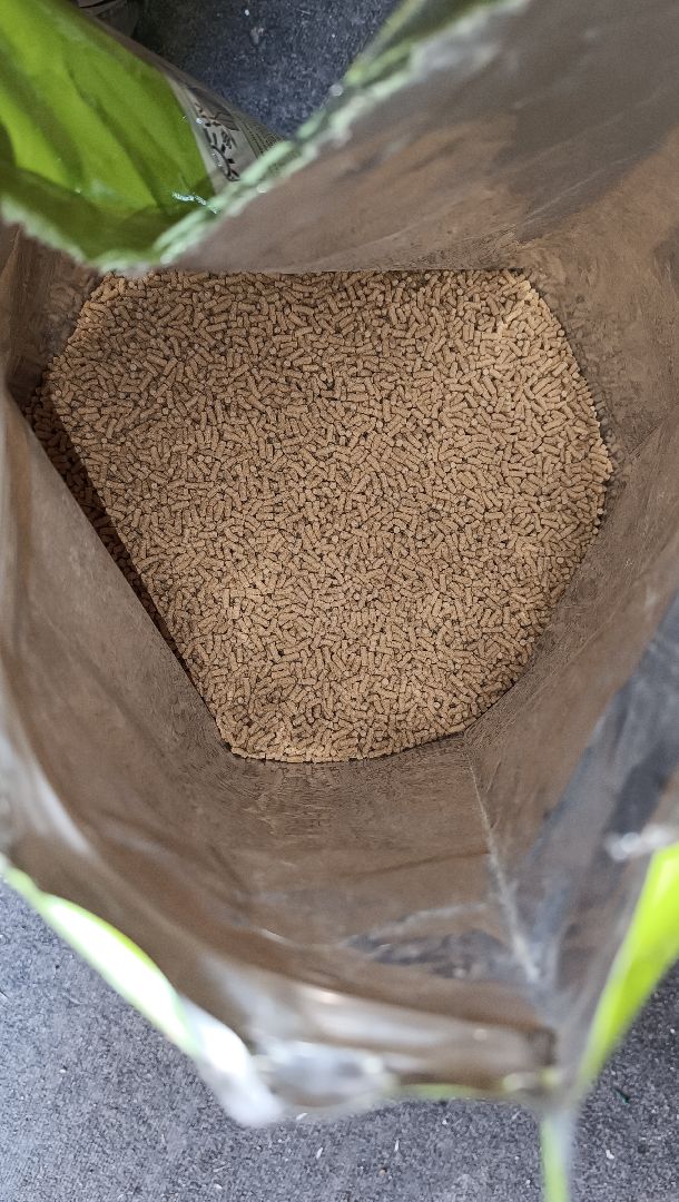 пруд, рыба, парк