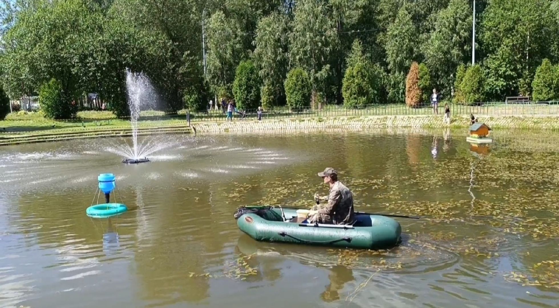 пруд, рыба, парк