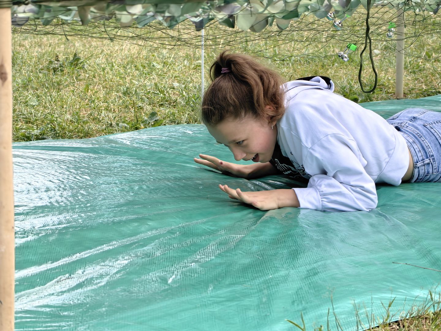 Сетка, игра, лагерь, спорт