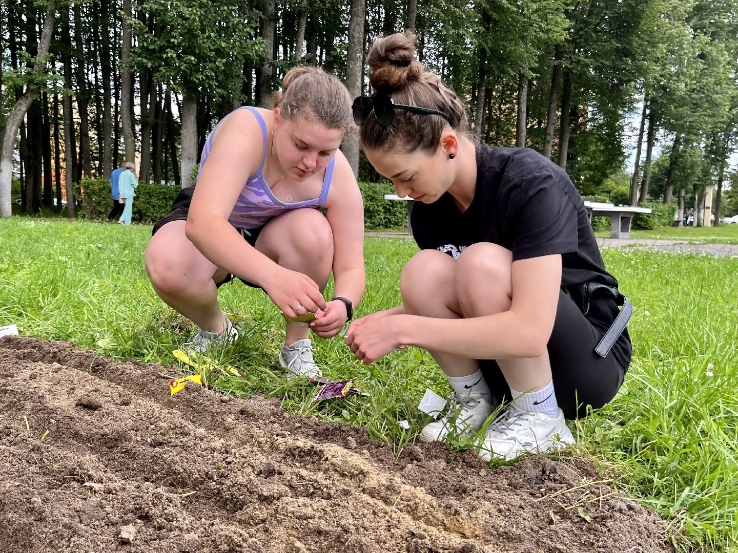 Наро-Фоминск, Центральный парк, общественный огород, Подмосковье, лето в Подмосковье