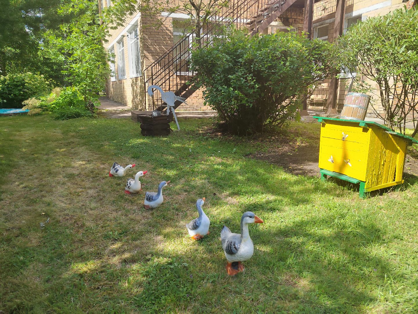 Пушкино, Софрино, Пушкинский округ, образование