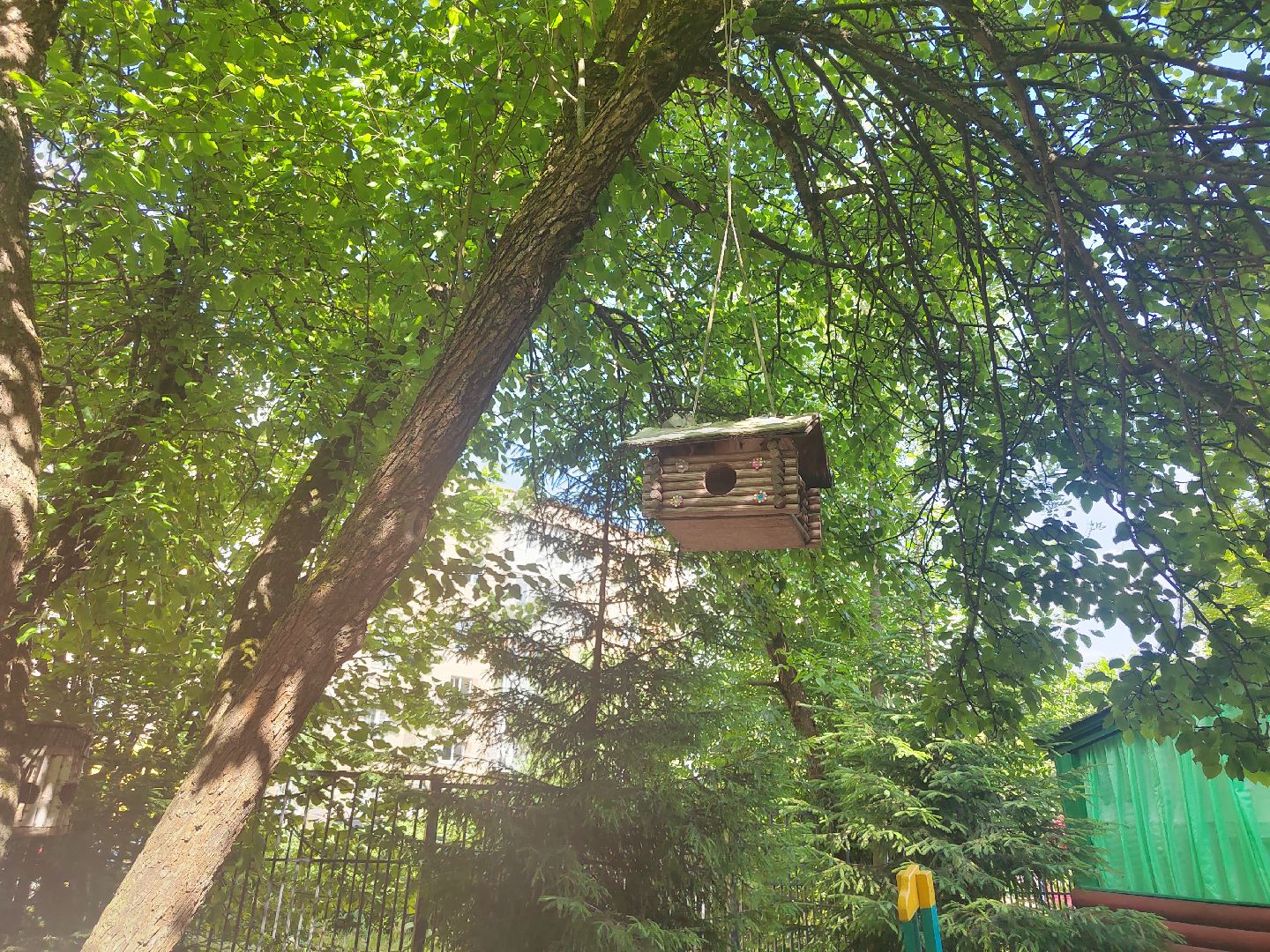 Пушкино, Софрино, Пушкинский округ, образование