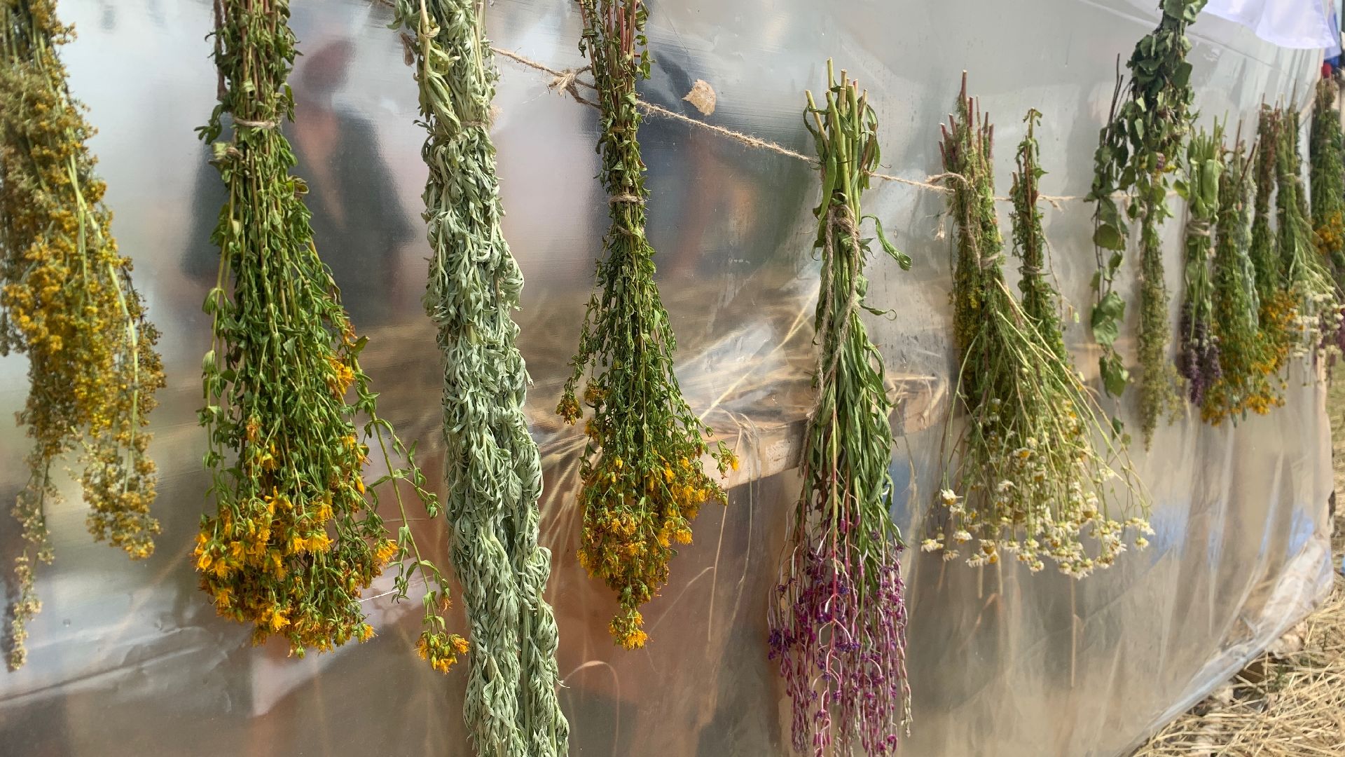 Кашира, Банный Спас, партизанская баня