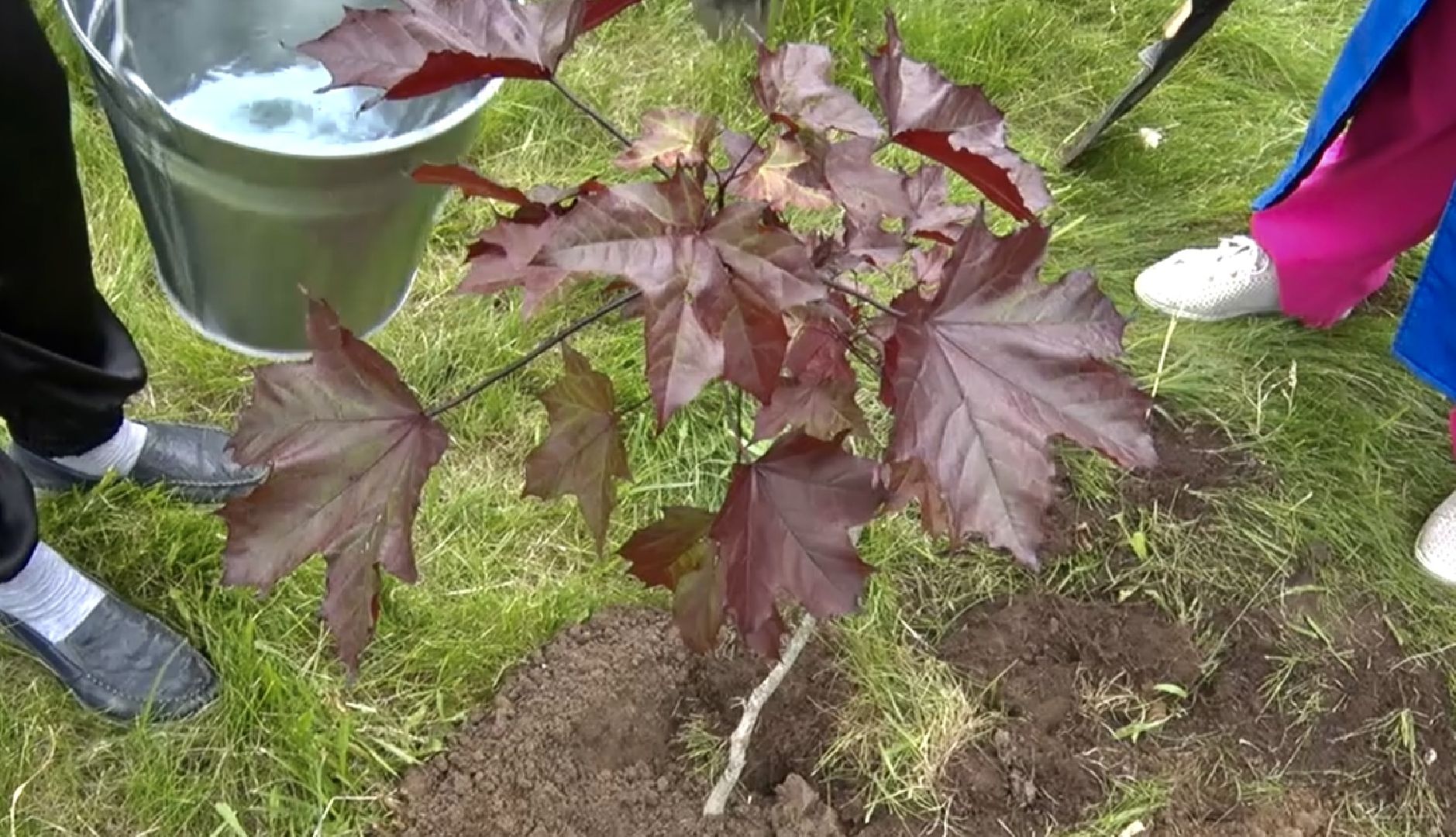 Клин, медицина, общество, благоустройство, перемены