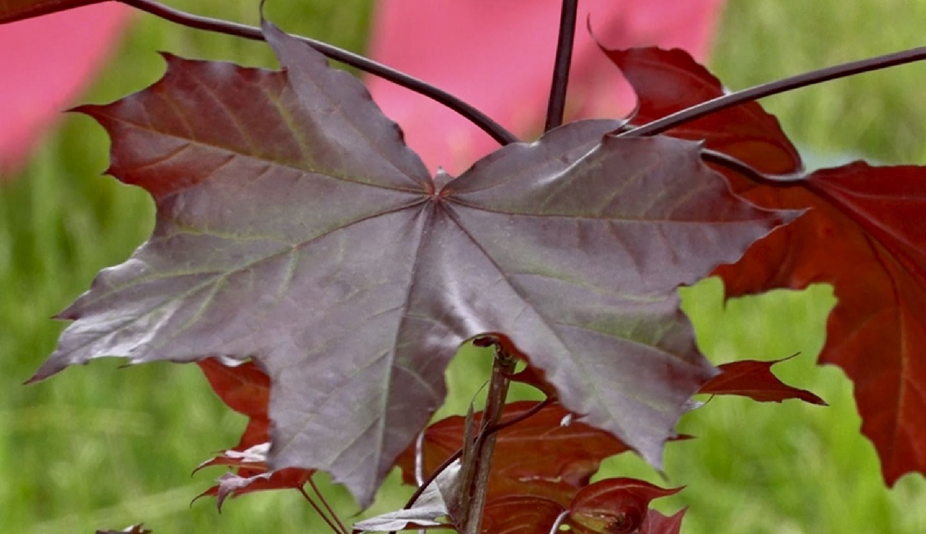 Клин, медицина, общество, благоустройство, перемены