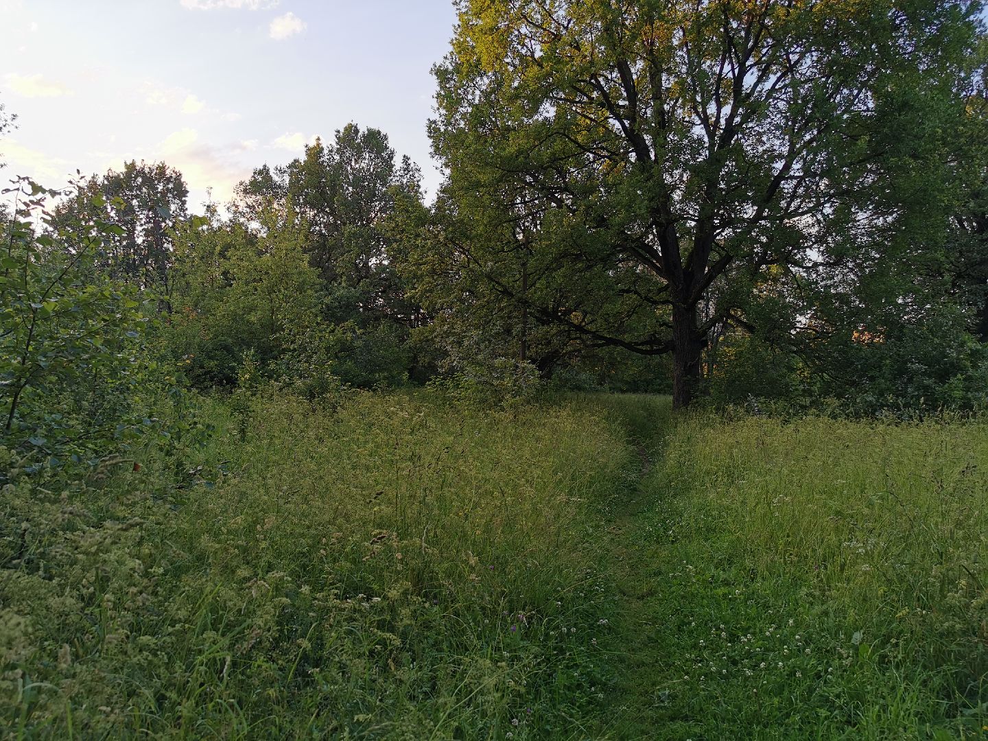 Подольск, школа