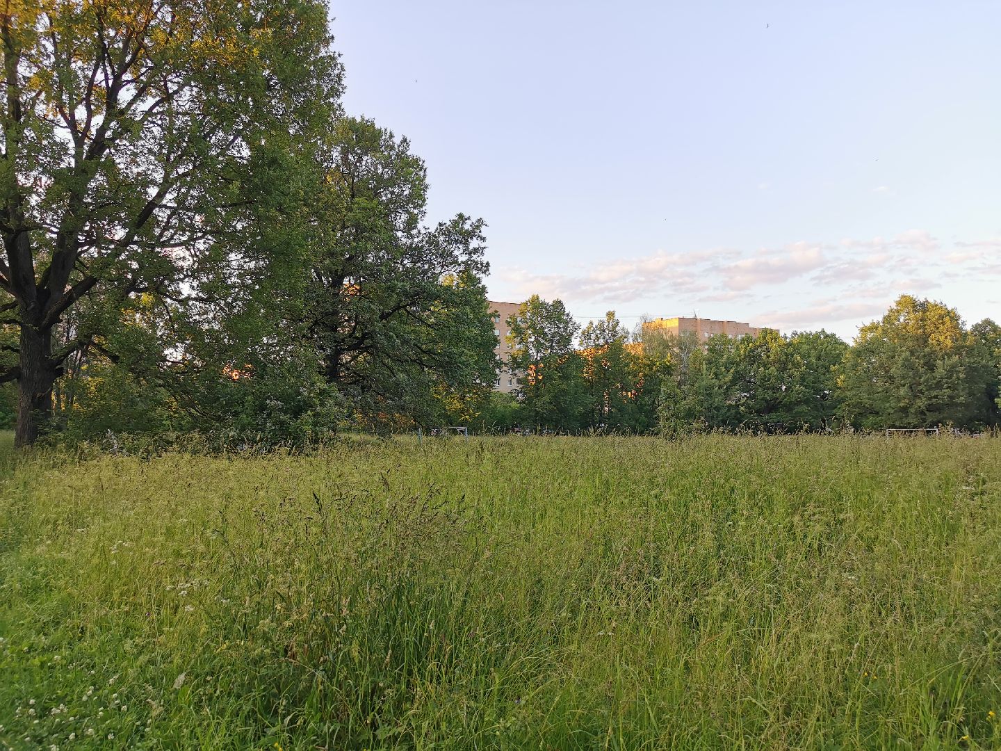 Подольск, школа