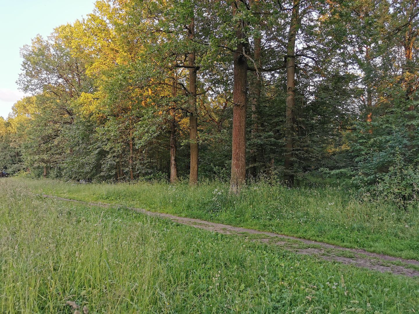 Подольск, школа