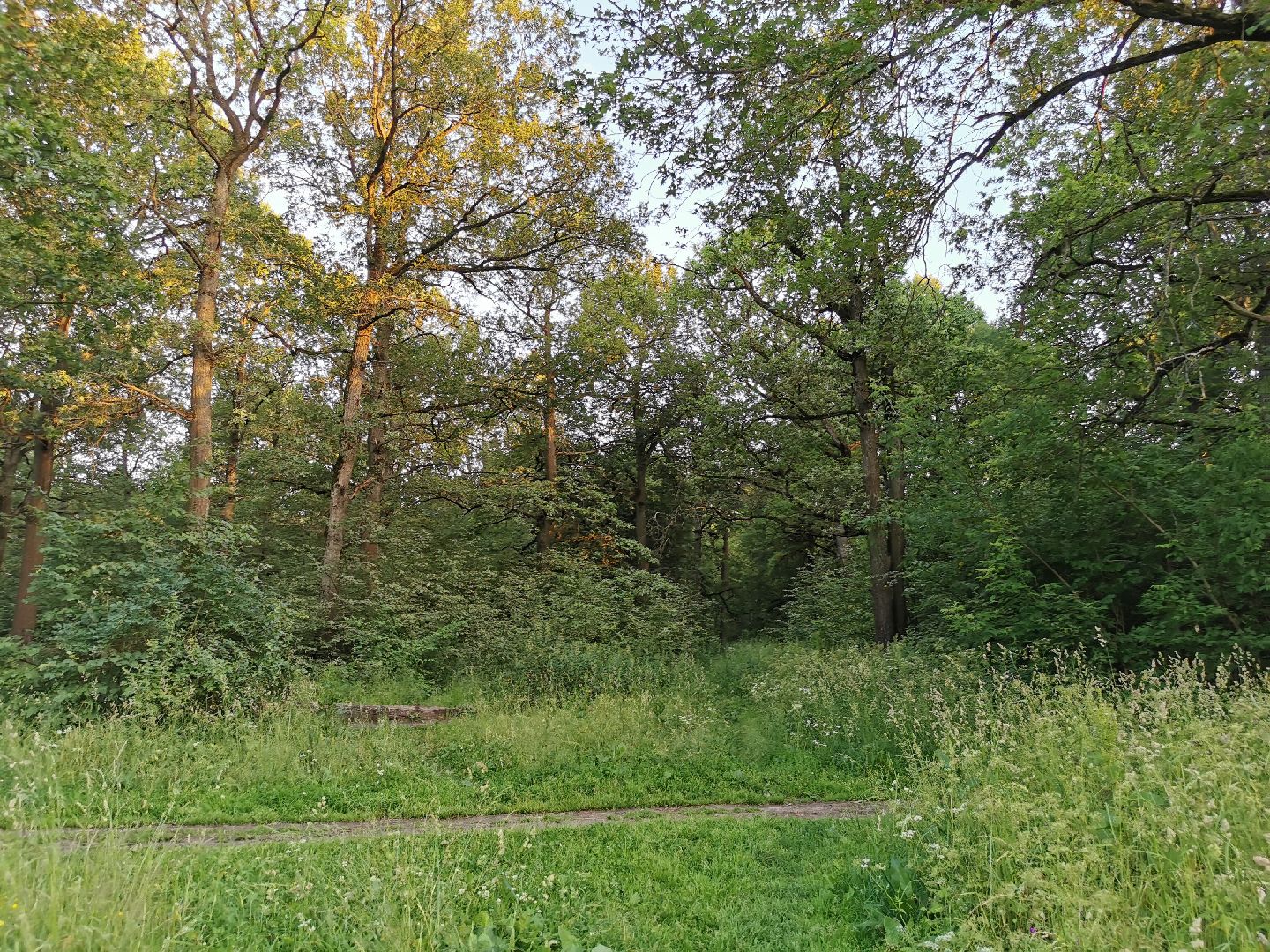 Подольск, школа