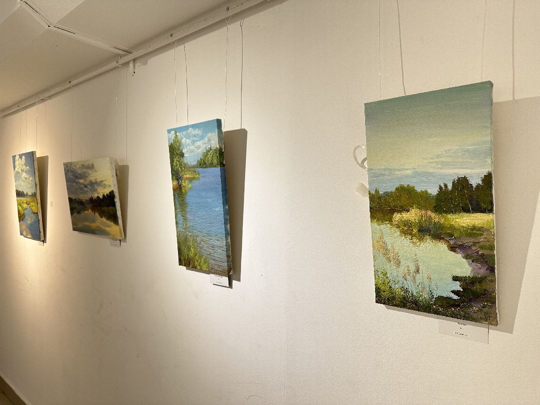 культура, выставка, музей, картины, солнце, художница, картина маслом, Реутов