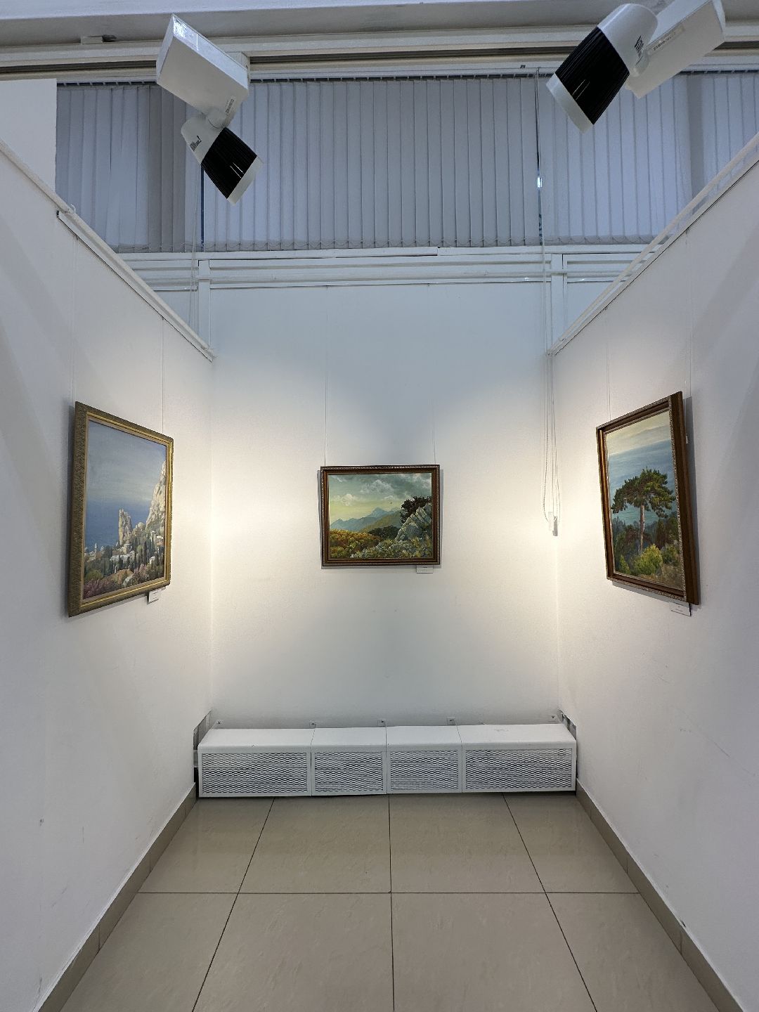 культура, выставка, музей, картины, солнце, художница, картина маслом, Реутов