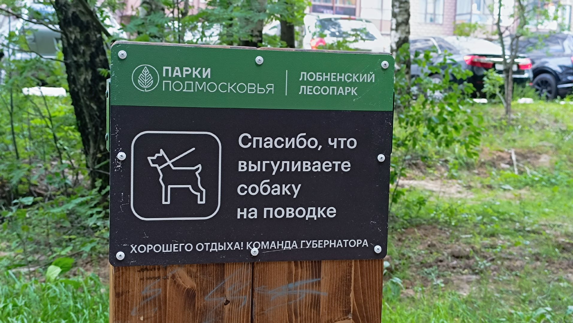 парк, благоустройство, Лобня