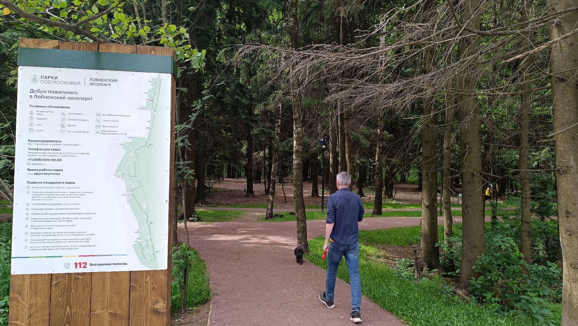 парк, благоустройство, Лобня