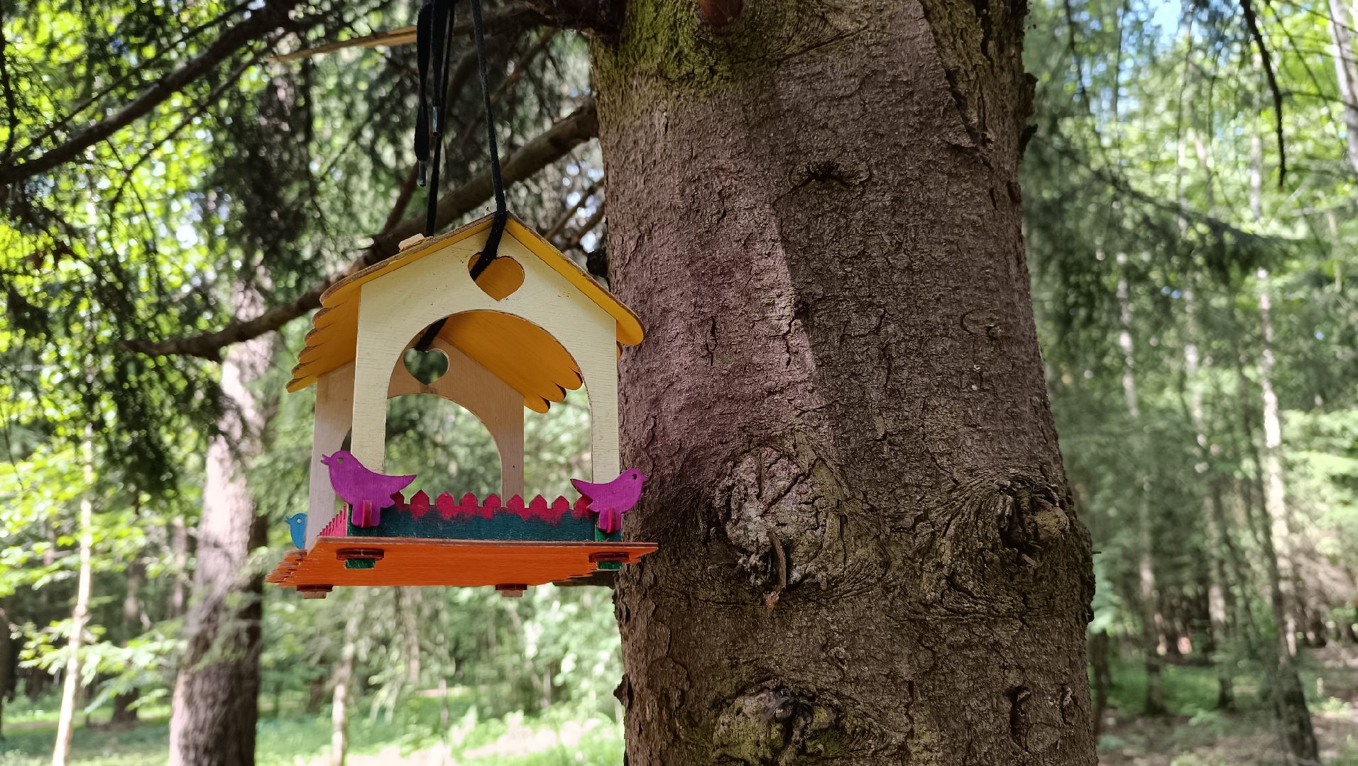 парк, благоустройство, Лобня