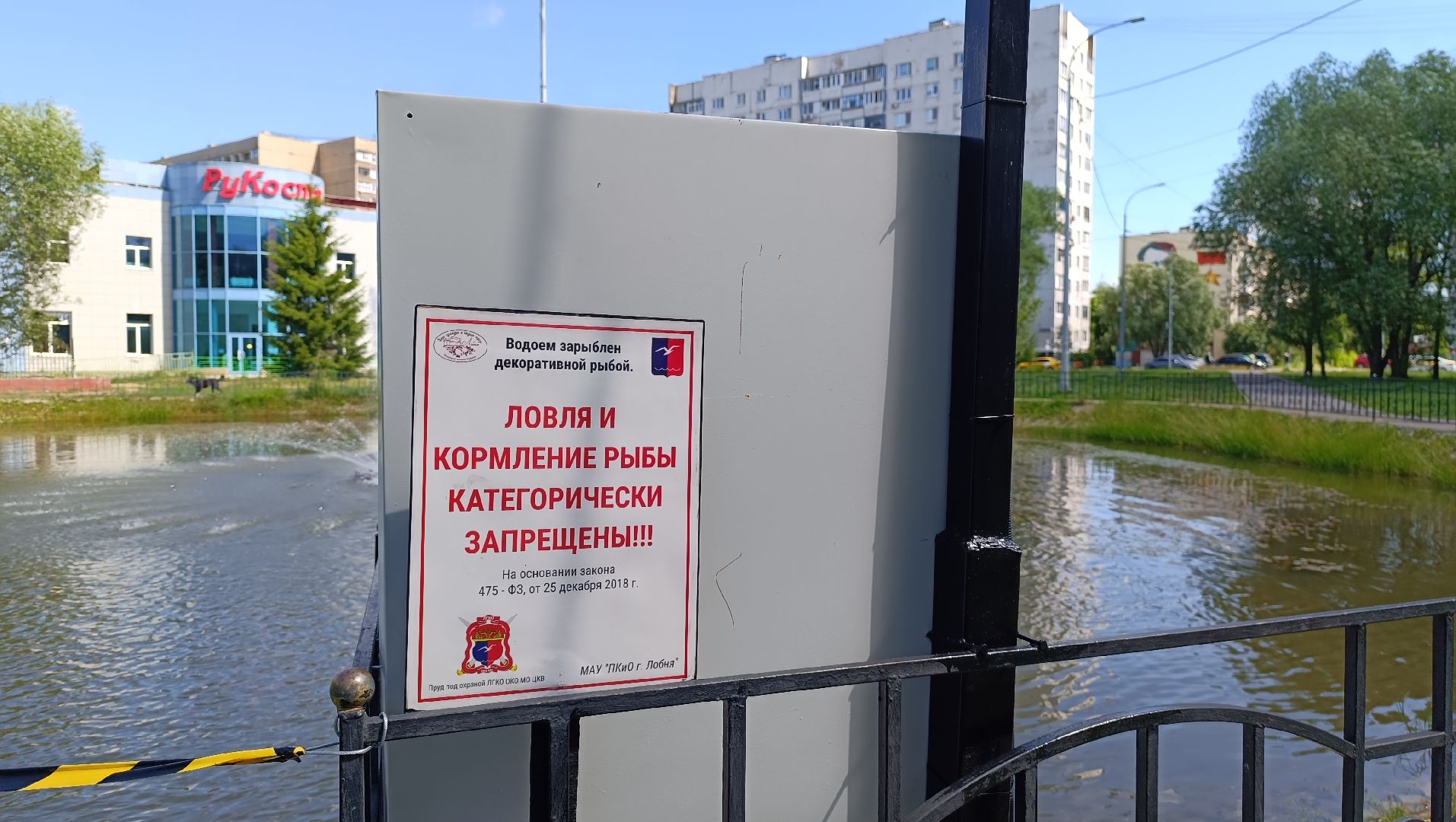 Лобня, парк, собака