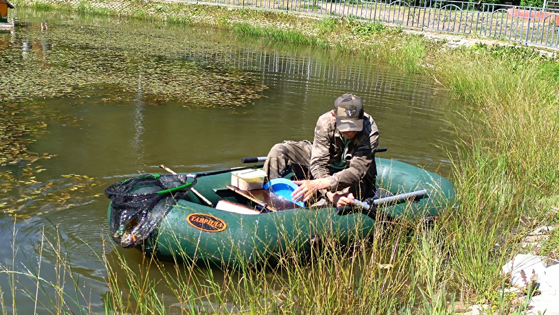 Лобня, парк, собака