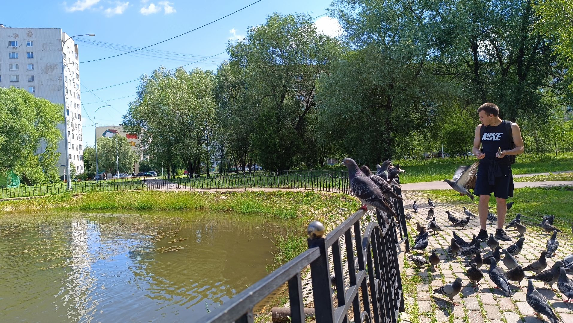 Лобня, парк, собака