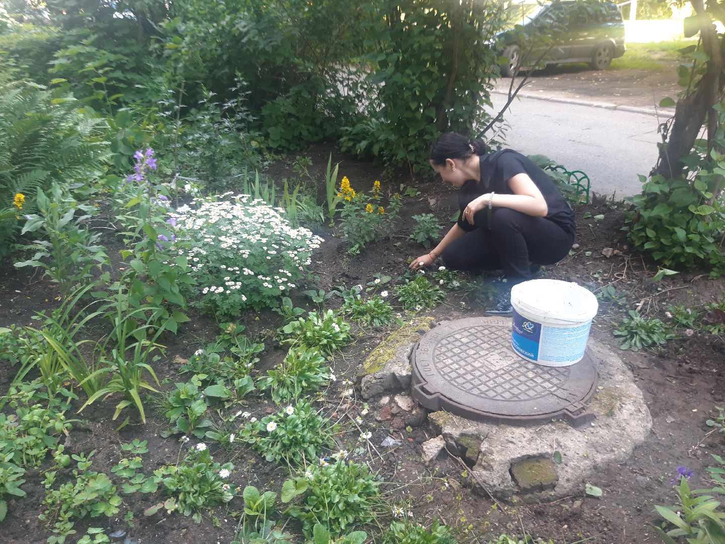 двор, выходи во двор, доброе дело,