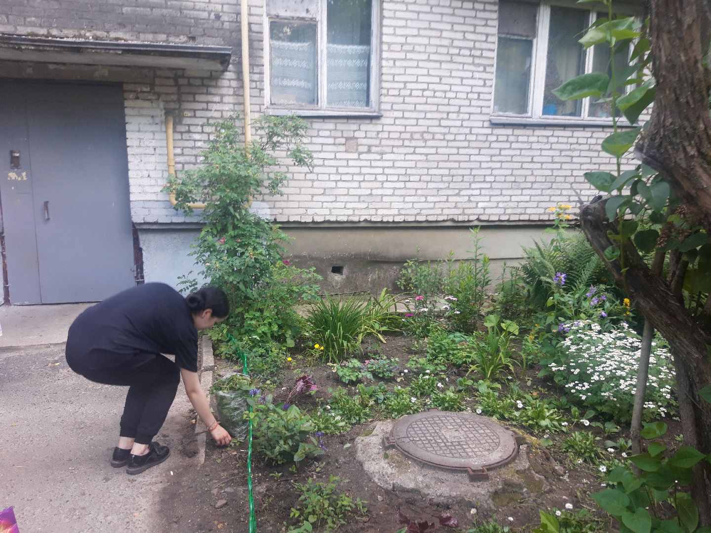 двор, выходи во двор, доброе дело,