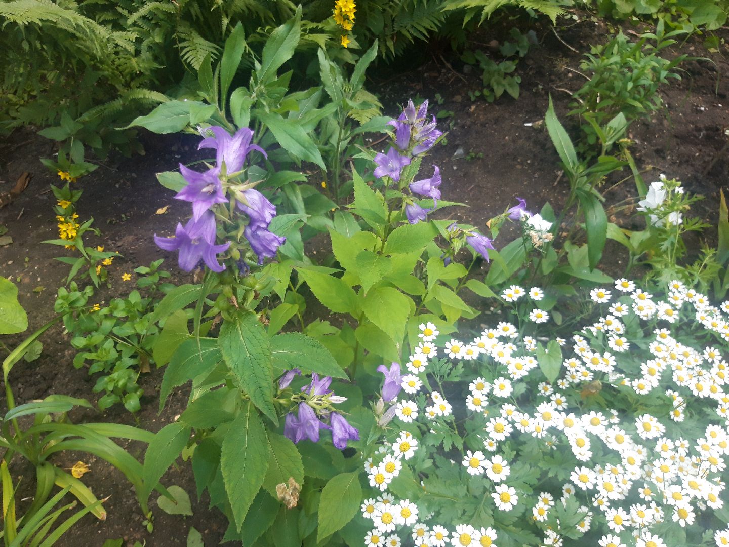 двор, выходи во двор, доброе дело,