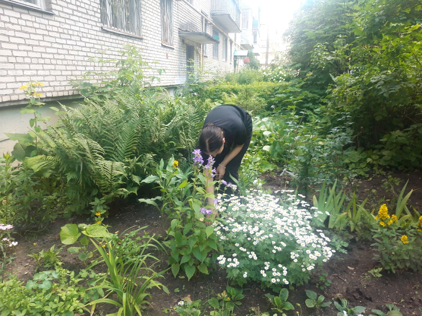 двор, выходи во двор, доброе дело,