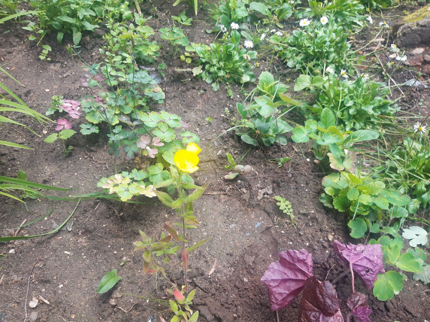 двор, выходи во двор, доброе дело,