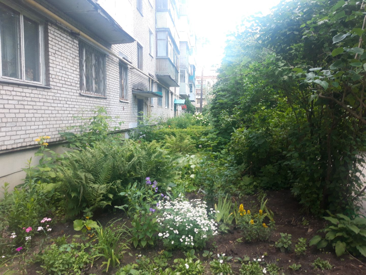 двор, выходи во двор, доброе дело,