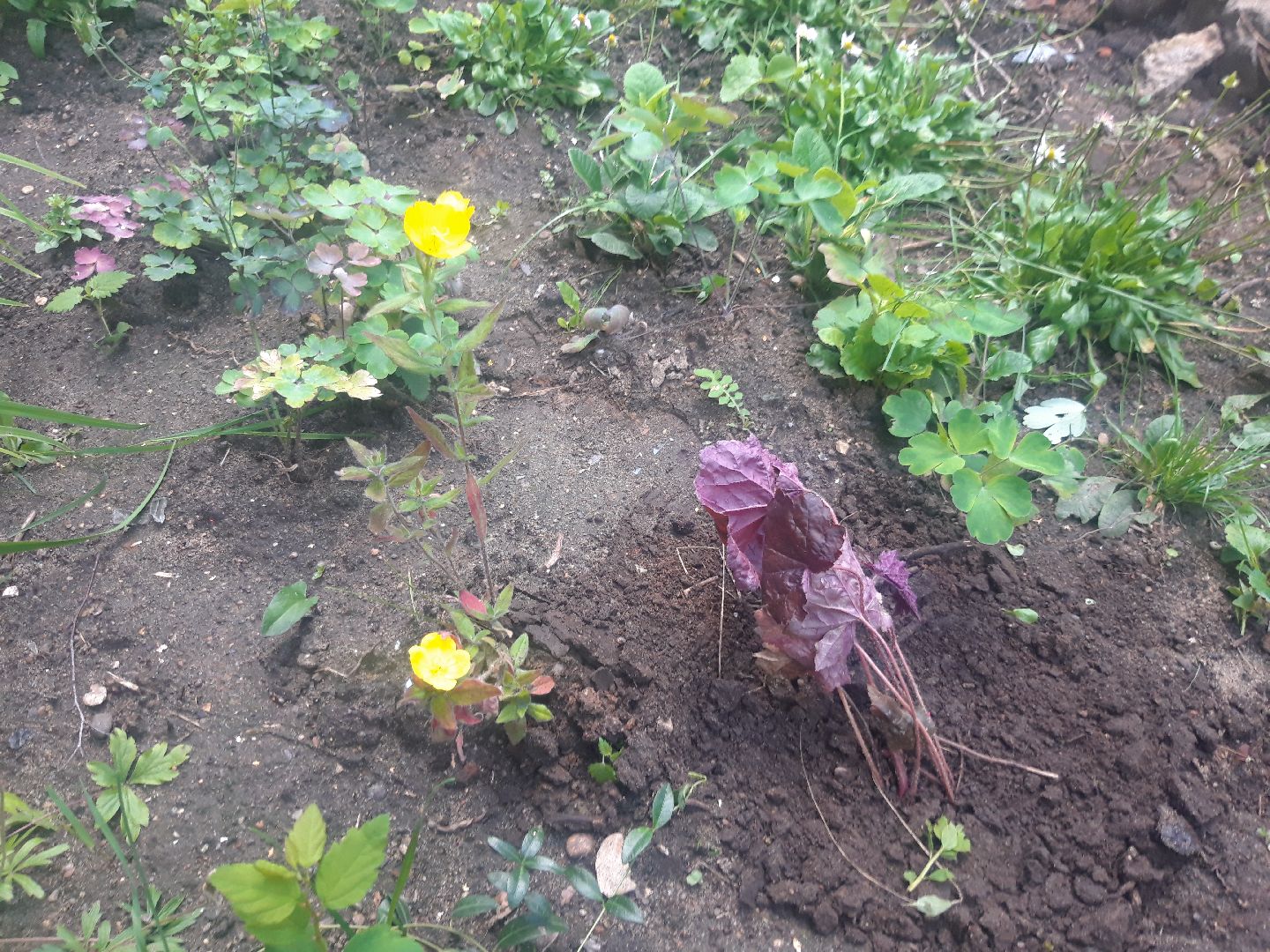 двор, выходи во двор, доброе дело,