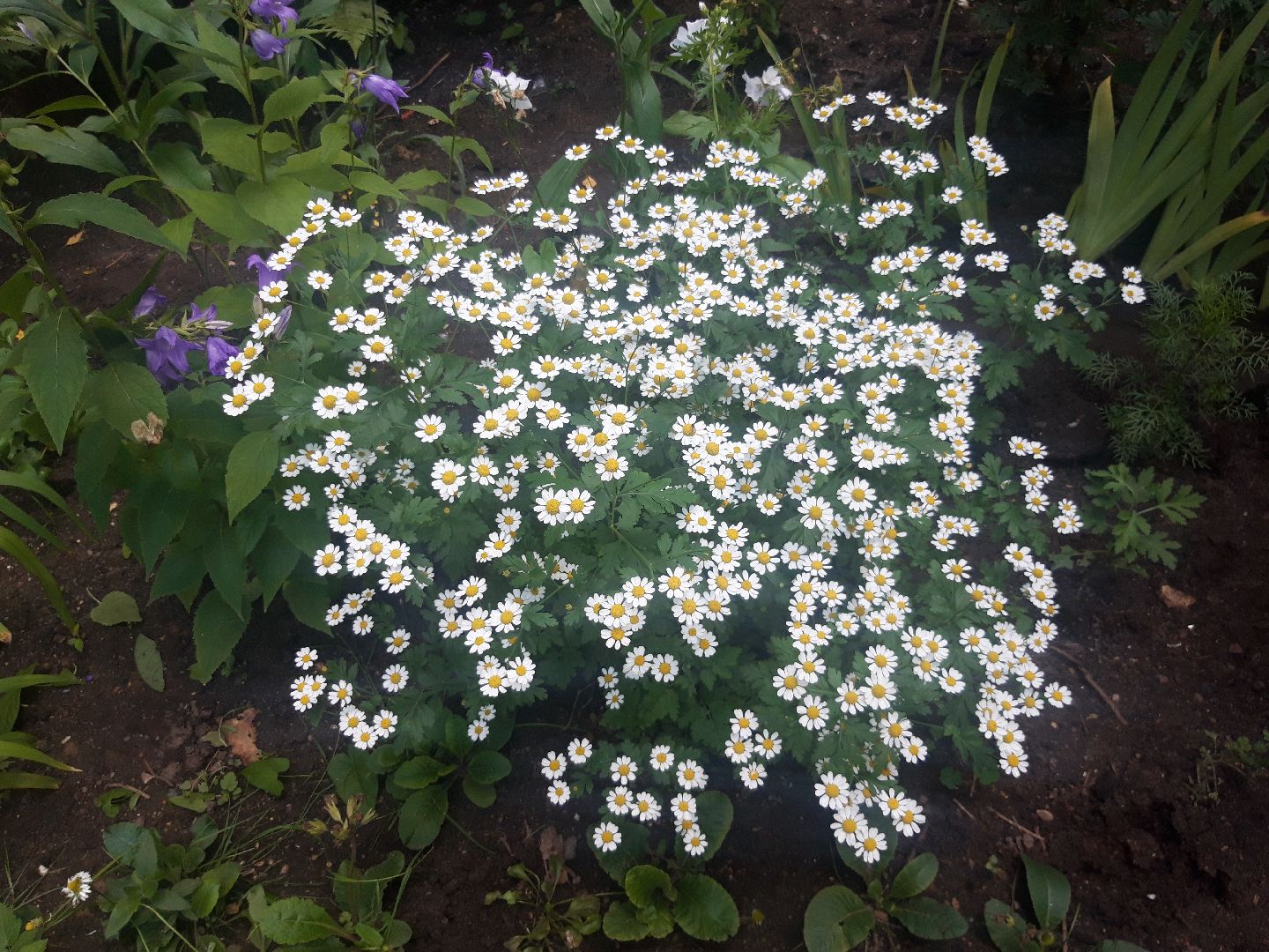 двор, выходи во двор, доброе дело,